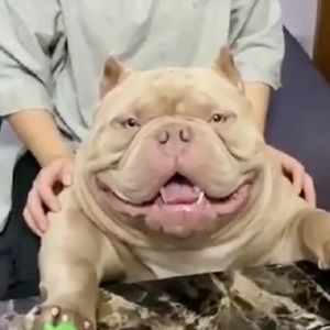 Meet your Posher, Nick